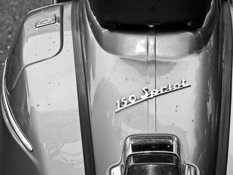 IMAGE: http://al-and-maggie.smugmug.com/photos/402635536_ZXmr2-L-1.jpg