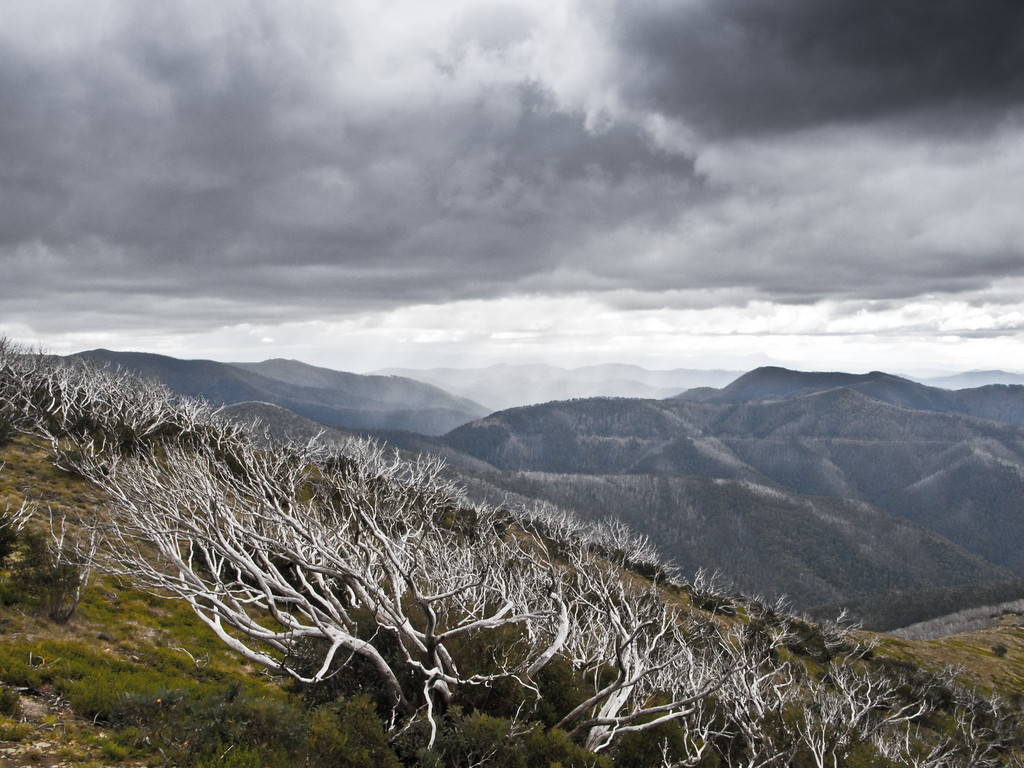 IMAGE: http://al-and-maggie.smugmug.com/photos/409690720_btjtc-XL-1.jpg