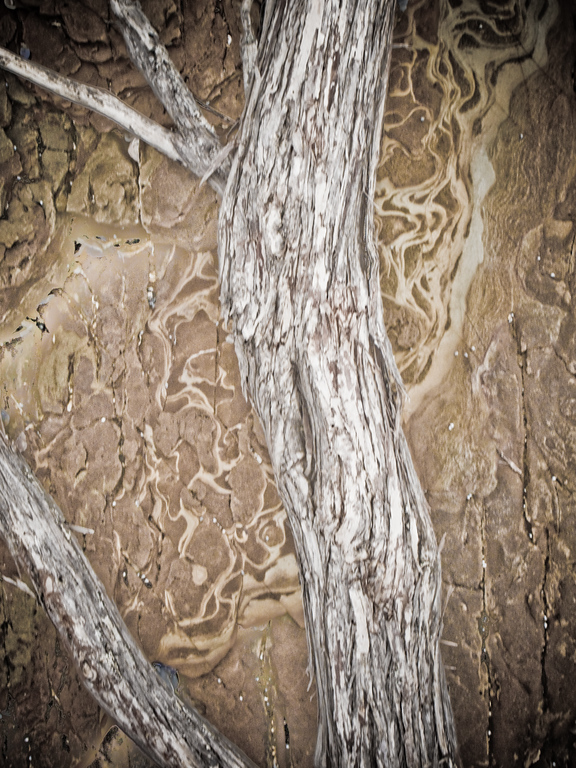 IMAGE: http://al-and-maggie.smugmug.com/photos/409780056_ir5Dm-XL.jpg