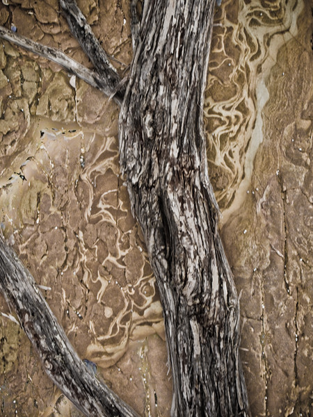 IMAGE: http://al-and-maggie.smugmug.com/photos/410928522_BavyX-L-0.jpg